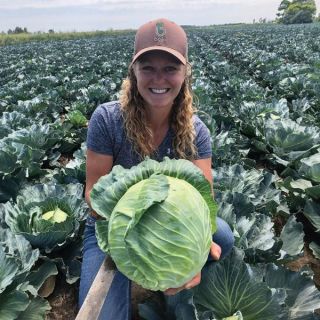 Botran Cabbage Thumbnail